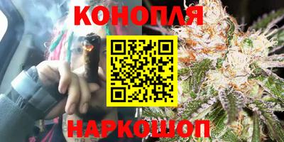 прущие крисы Кимры