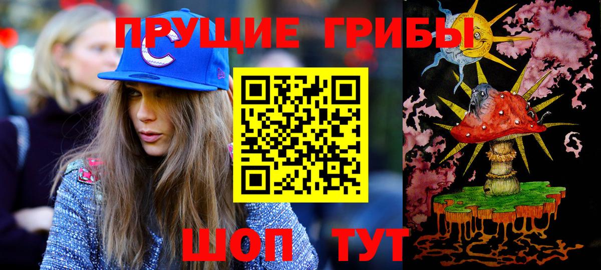 закладка  Псилоцибиновые грибы ЛСД  Кинель  Вход с VPN  Псилоцибиновые грибы Cubensis 